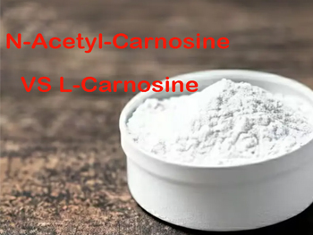 N Acetyl Carnosine VS L-Carnosine